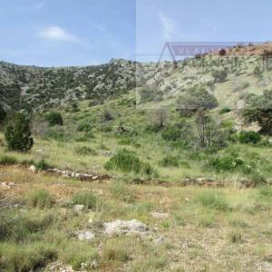 Brač Bol, zemljište 12459 m2 prvi red do mora