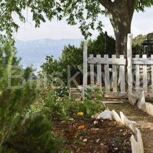 Brač, Dol, prodaja samostojeća kuća, bazen