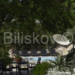 Brač, Dol, prodaja samostojeća kuća, bazen