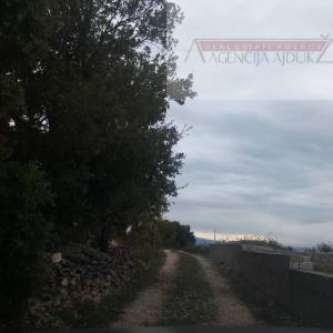 Brač Donji Humac 10630 m2 sa objektom