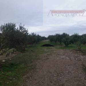 Brač Donji Humac 10630 m2 sa objektom