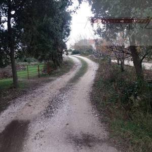 Brač Donji Humac 10630 m2 sa objektom