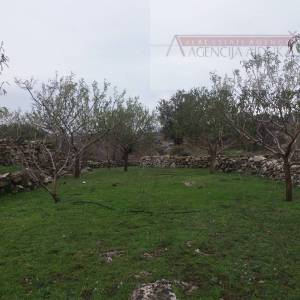 Brač Donji Humac 10630 m2 sa objektom