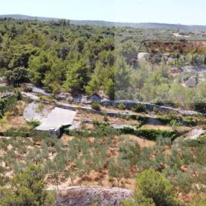 Brač Stražišće 1900 m2 poljoprivredno zemljište Splitska