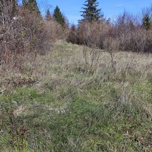 BRESTOVA DRAGA - Građevinsko zemljište