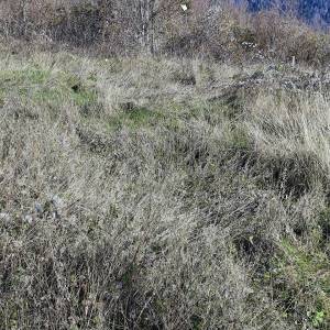 BRESTOVA DRAGA - Građevinsko zemljište