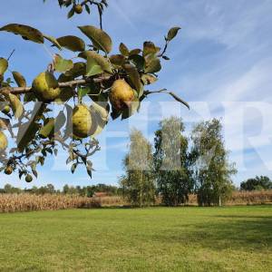 BREZOVICA, GRAĐEVINSKO ZEMLJIŠTE 7.500m2, SPORTSKO-REKREATIVNA NAMJENA
