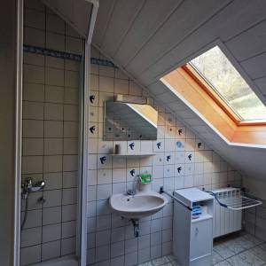 Brod na Kupi - Dvije kuće s uređenom okućnicom