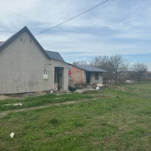 Darda, kuća s okućnicom površine 915m2, PRILIKA!