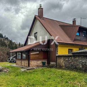 DELNICE, CENTAR-Kuća s dva apartmana i garažom