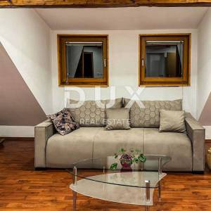 DELNICE, CENTAR-Kuća s dva apartmana i garažom