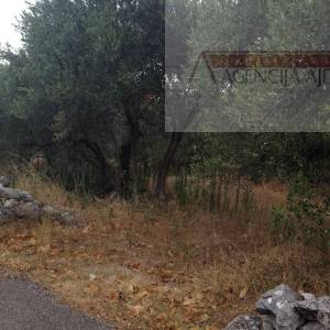 Dubrovnik Banići građevinsko zemljište 1773 m2