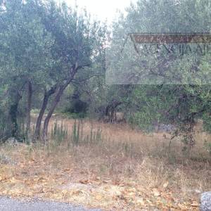 Dubrovnik Banići građevinsko zemljište 1773 m2