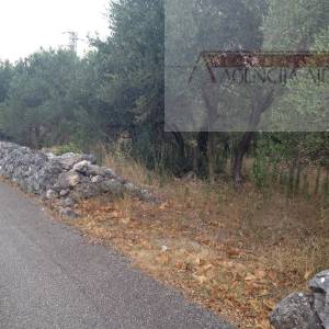 Dubrovnik Banići građevinsko zemljište 886 m2