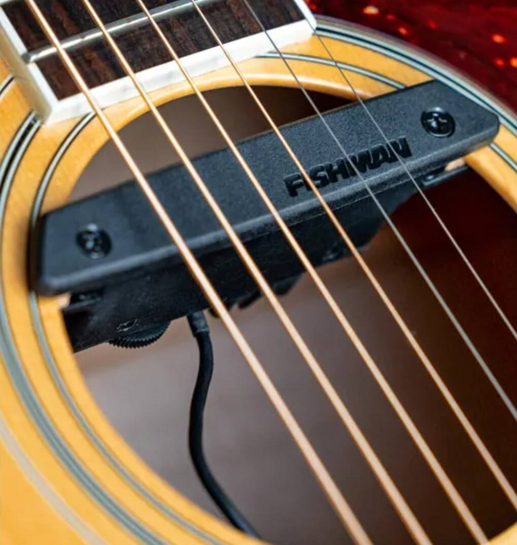 Fishmann Pro Neo pickup