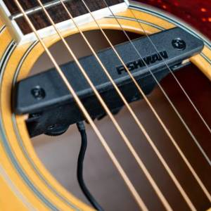 Fishmann Pro Neo pickup