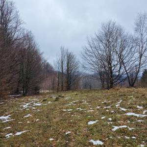 FUŽINE - Zemljište za gradnju objekata za seoski turizam