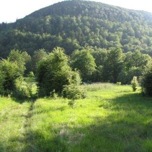 FUŽINE - Zemljište za gradnju objekata za seoski turizam