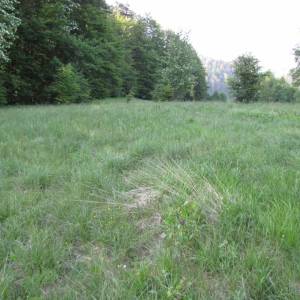 FUŽINE - Zemljište za gradnju objekata za seoski turizam