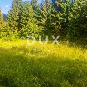 GORSKI KOTAR, DELNICE- građevinsko zemljište 2550 m2