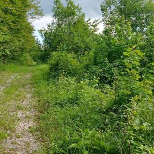 GORSKI KOTAR, FUŽINE - jedinstven projekt u srcu Gorskog kotara, građevinsko zemljište 3340 m2 sa projektom za vilu, prilika za...