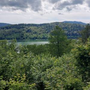 GORSKI KOTAR, FUŽINE - jedinstven projekt u srcu Gorskog kotara, građevinsko zemljište 3340 m2 sa projektom za vilu, prilika za...