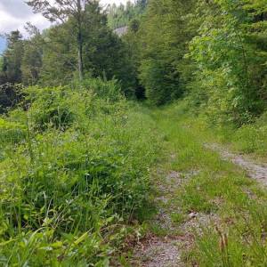 GORSKI KOTAR, FUŽINE - jedinstven projekt u srcu Gorskog kotara, građevinsko zemljište 3340 m2 sa projektom za vilu, prilika za...