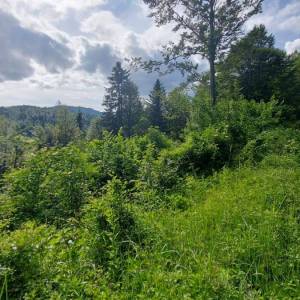 GORSKI KOTAR, FUŽINE - jedinstven projekt u srcu Gorskog kotara, građevinsko zemljište 3340 m2 sa projektom za vilu, prilika za...