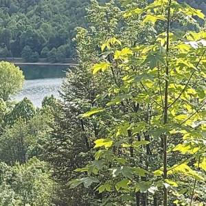 GORSKI KOTAR, FUŽINE - jedinstven projekt u srcu Gorskog kotara, građevinsko zemljište 3340 m2 sa projektom za vilu, prilika za...