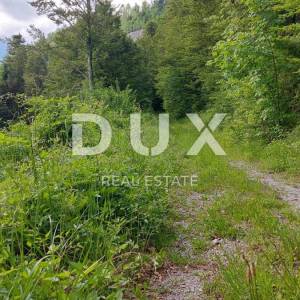 GORSKI KOTAR, FUŽINE - jedinstven projekt u srcu Gorskog  kotara, građevinsko zemljište 10.700 m2 za kompleks vila blizu jezera...