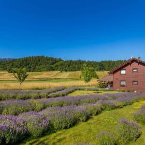 GORSKI KOTAR - Kuća sa 6 opremljenih soba za iznajmljivanje