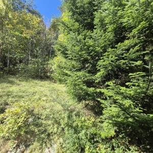 GORSKI KOTAR, LIČ - Kuća s pogledom na prirodu