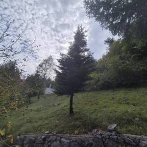 GORSKI KOTAR, LIČ - Kuća s pogledom na prirodu