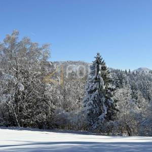 Gorski kotar, Ravna Gora - okolica, 3.115m2, građevinsko zemljište