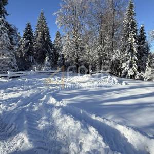 Gorski kotar, Ravna Gora - okolica, 3.115m2, građevinsko zemljište