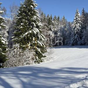 Gorski kotar, Ravna Gora - okolica, 3.115m2, građevinsko zemljište