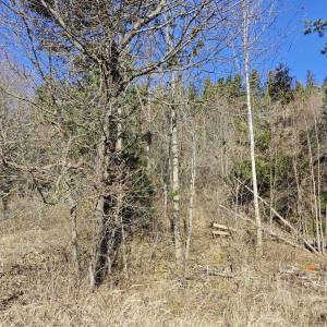 GORSKI KOTAR, VRATA - dvije građevinske parcele