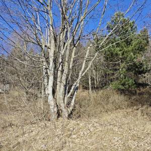 GORSKI KOTAR, VRATA - dvije građevinske parcele