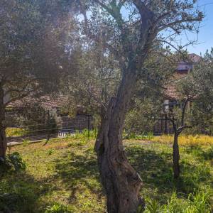 GRAD KRK - Samostojeća kuća na drugi red do mora