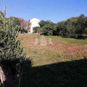 Građevinski teren u Sv. Filip i Jakovu