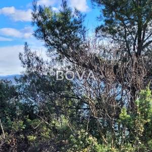 Građevinsko zemljište 2336 m2 – Posedarje *Prvi red do mora* (ID-2259)
