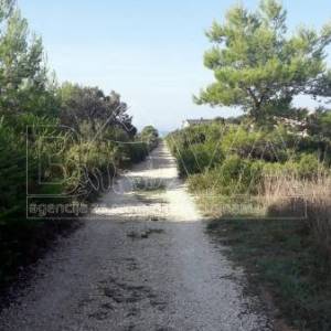 Građevinsko zemljište 3800 m2 na Viru, Zadar *200 m OD PLAŽE*