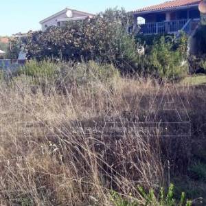 Građevinsko zemljište 3800 m2 na Viru, Zadar *200 m OD PLAŽE*