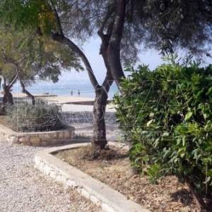 Građevinsko zemljište 3800 m2 na Viru, Zadar *200 m OD PLAŽE*