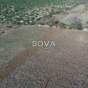 Građevinsko zemljište 8500 m2 – Tinj *Pravilan oblik* (ID-2369)