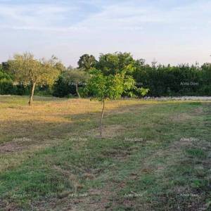 Građevinsko zemljište u Filipani!