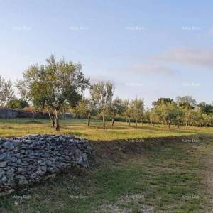 Građevinsko zemljište u Filipani!