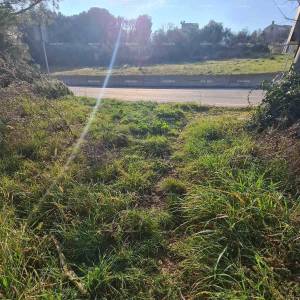 Građevinsko zemljište Vintijan – 800 m2 – uz cestu