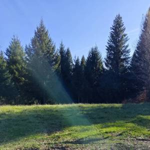 HLEVCI - Građevinska parcela