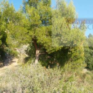 Hvar poljoprivredno zemljište 80000m2 Sv. Nedjelja